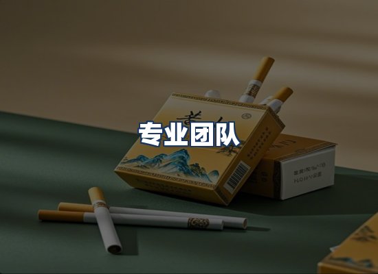 专业团队